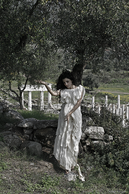Dryad