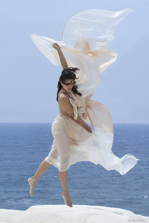 Fighter of wind