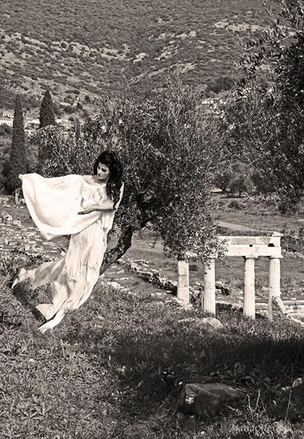 Dryad