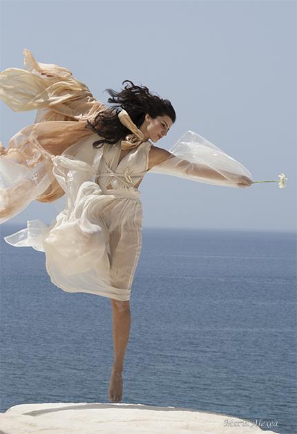 Joy_of_Life_2008
